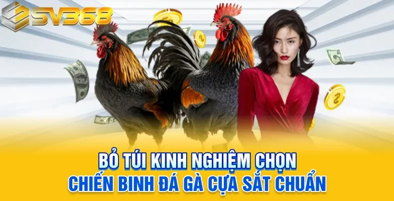 Bỏ túi kinh nghiệm chọn chiến binh đá gà cựa sắt chuẩn