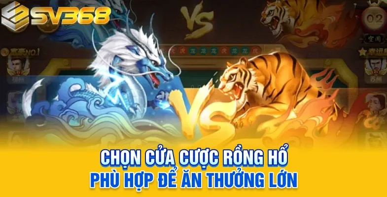 Chọn cửa cược Rồng hổ phù hợp để ăn thưởng lớn