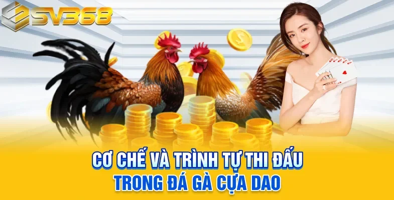 Cơ chế và trình tự thi đấu trong đá gà cựa dao