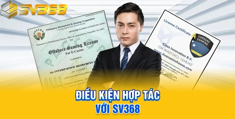 Điều kiện hợp tác với SV368