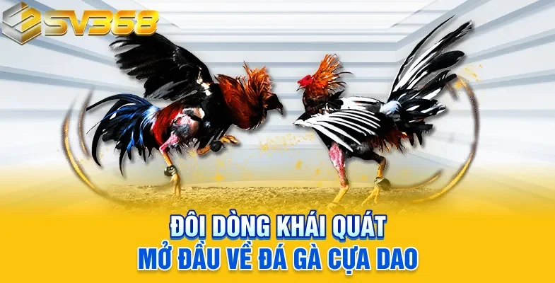 Đôi dòng khái quát mở đầu về đá gà cựa dao