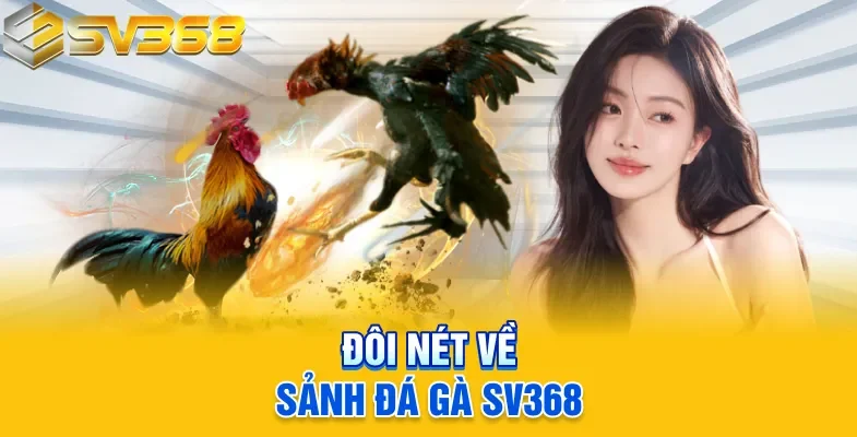 Đôi nét về sảnh đá gà SV368