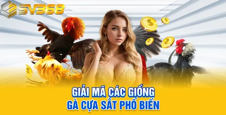 Giải mã các giống gà cựa sắt phổ biến