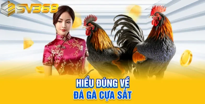 Hiểu đúng về đá gà cựa sắt