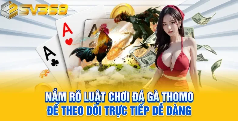 Nắm rõ luật chơi đá gà thomo để theo dõi trực tiếp dễ dàng