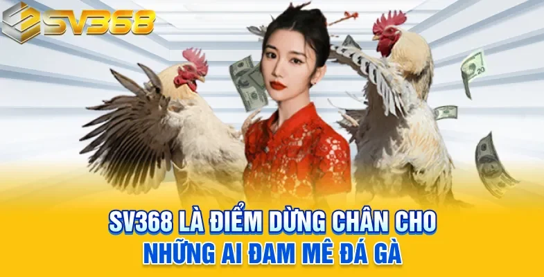 SV368 là điểm dừng chân cho những ai đam mê đá gà