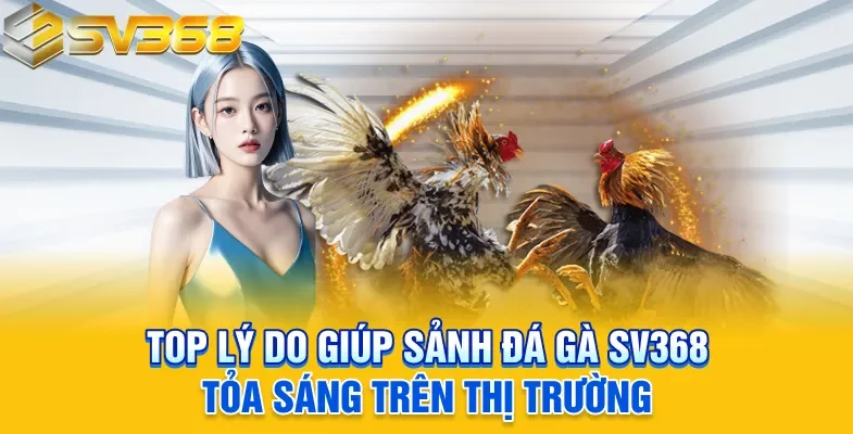 Top lý do giúp sảnh đá gà SV368 tỏa sáng trên thị trường
